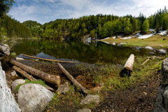 Taubensee